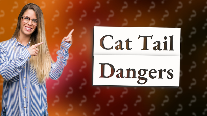 Cat Tail Dangers