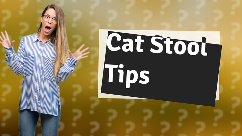 Cat Stool Tips