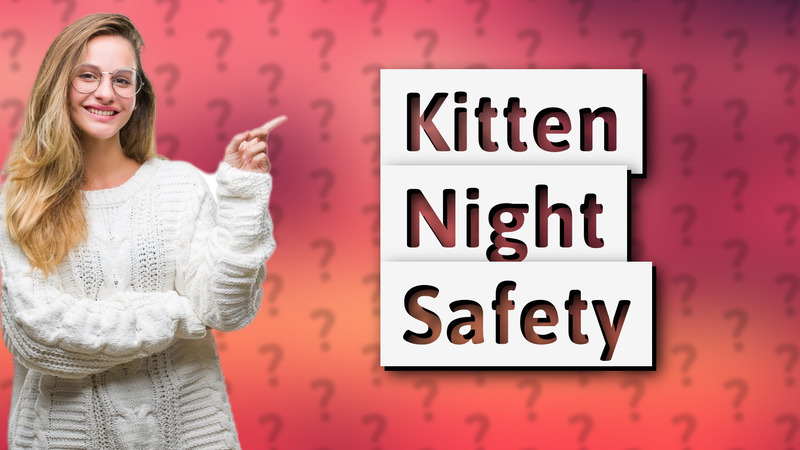 Kitten Night Safety