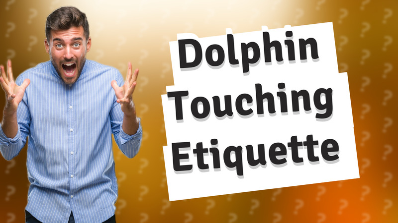 Dolphin Touching Etiquette