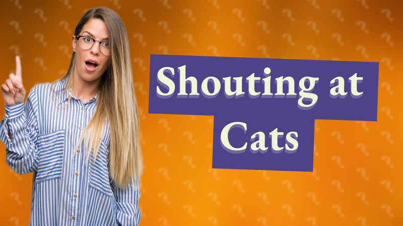 Shouting at Cats