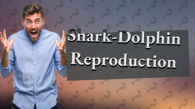 Shark-Dolphin Reproduction