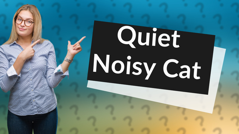 Quiet Noisy Cat