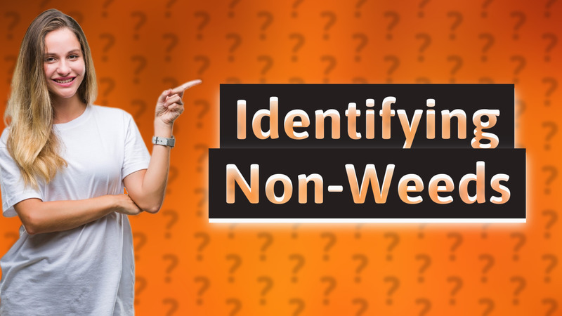 Identifying Non-Weeds