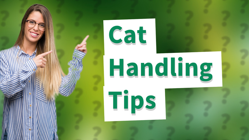 Cat Handling Tips
