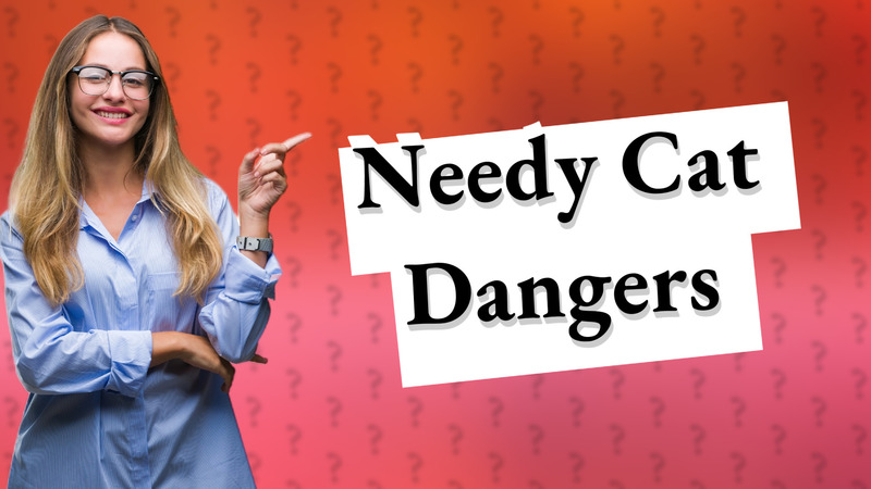 Needy Cat Dangers