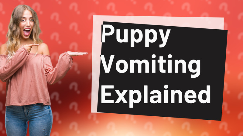 Puppy Vomiting Explained