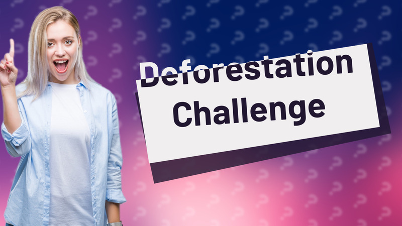 Deforestation Challenge