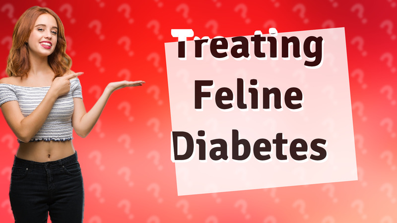 Treating Feline Diabetes