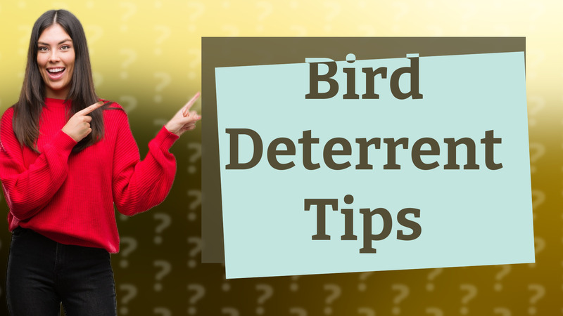 Bird Deterrent Tips