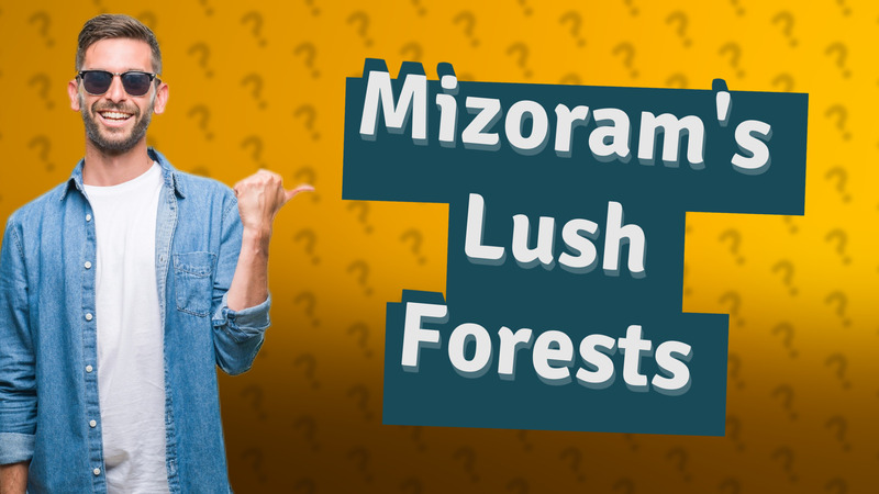 Mizoram's Lush Forests