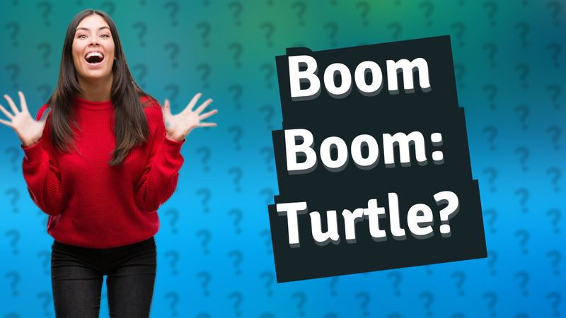 Boom Boom: Turtle?