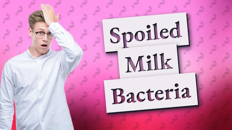 Spoiled Milk Bacteria