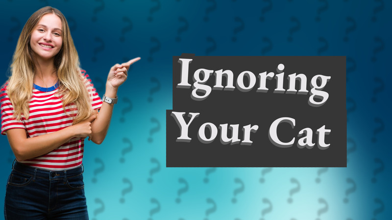 Ignoring Your Cat