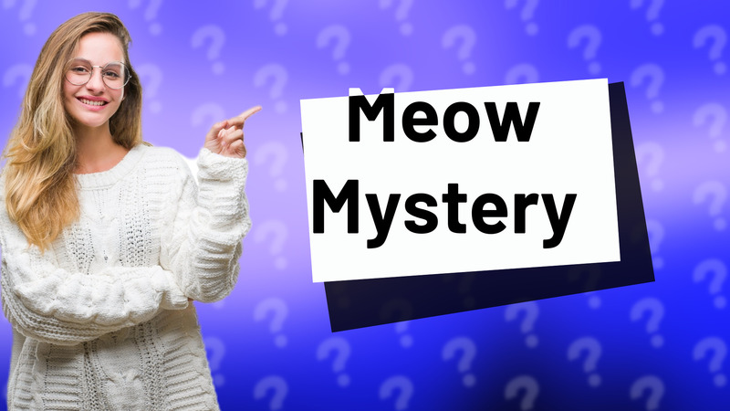 Meow Mystery