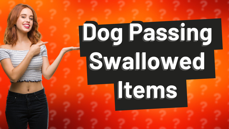 Dog Passing Swallowed Items