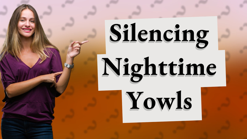 Silencing Nighttime Yowls
