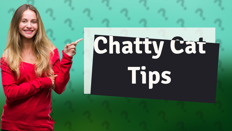 Chatty Cat Tips