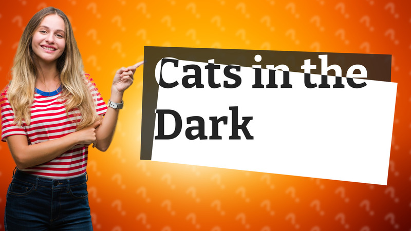 Cats in the Dark
