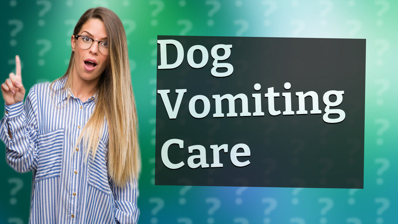 Dog Vomiting Care