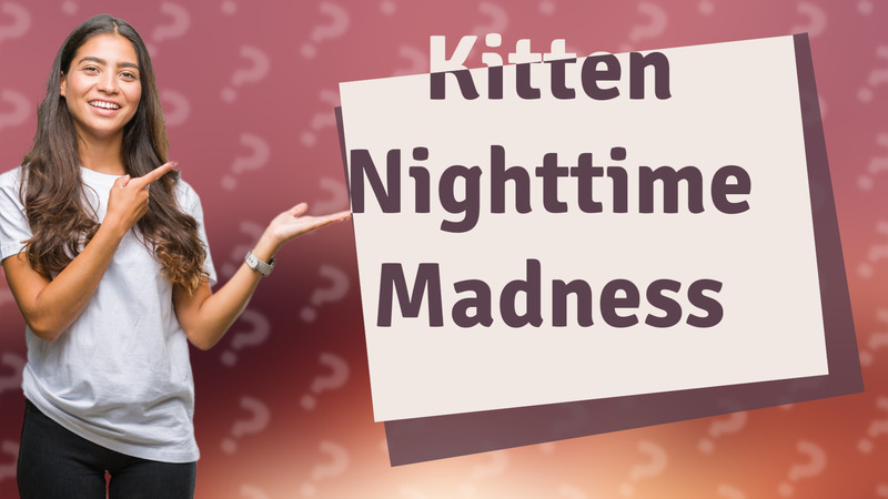 Kitten Nighttime Madness