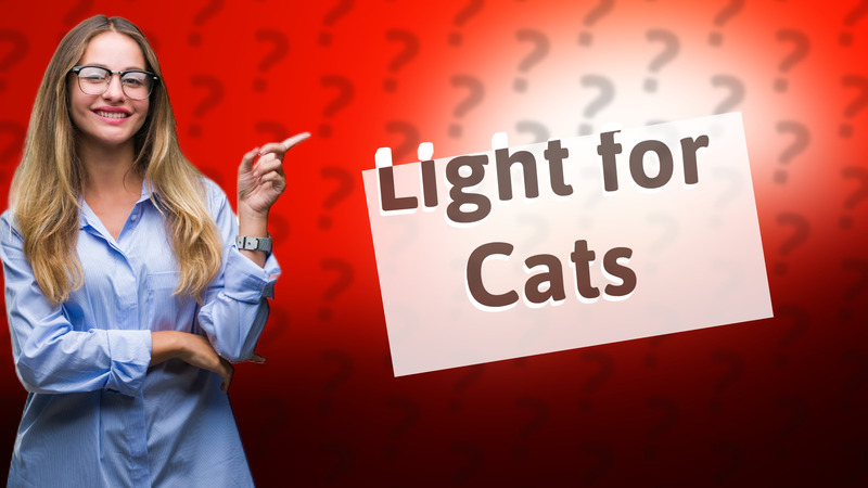 Light for Cats
