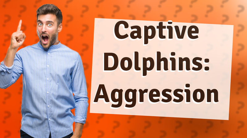 Captive Dolphins: Aggression