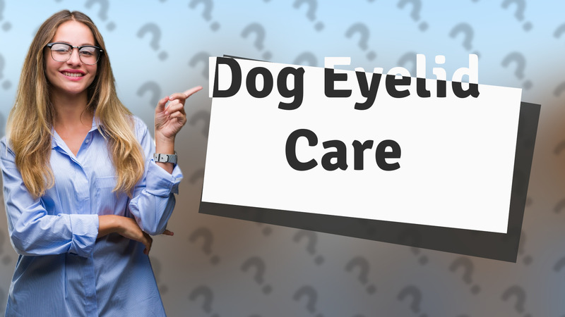 Dog Eyelid Care