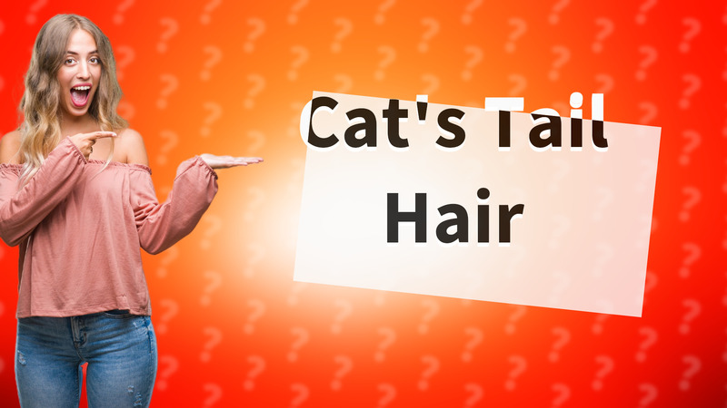 Cat's Tail Hair