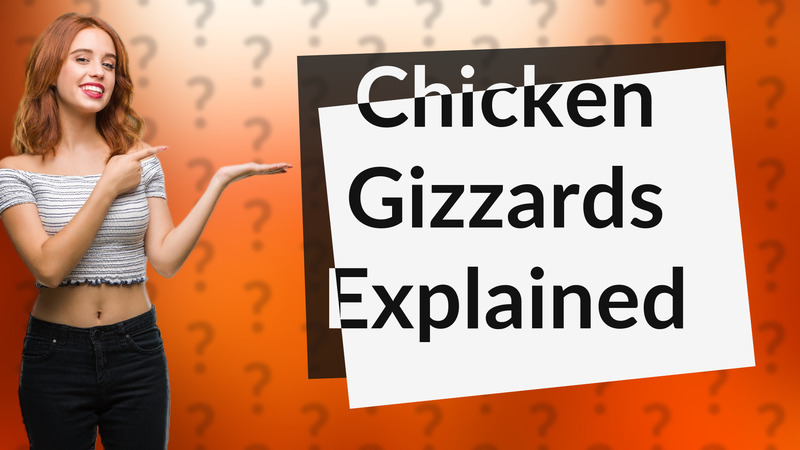 Chicken Gizzards Explained