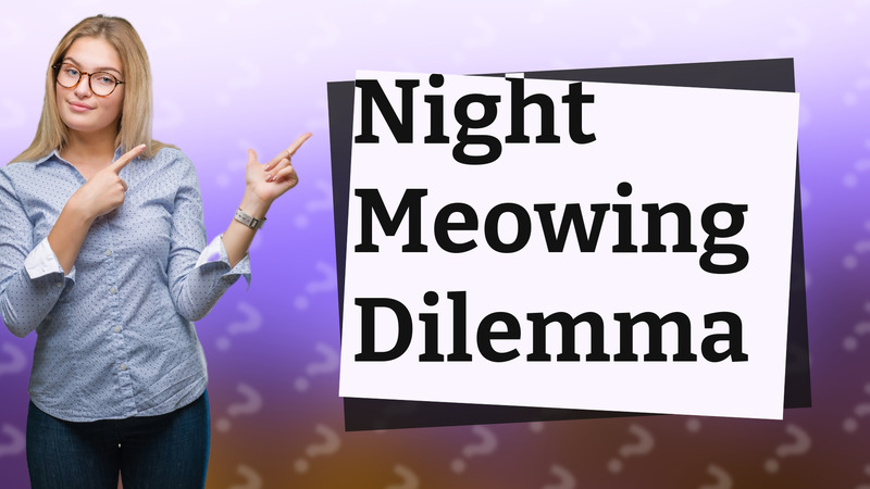 Night Meowing Dilemma
