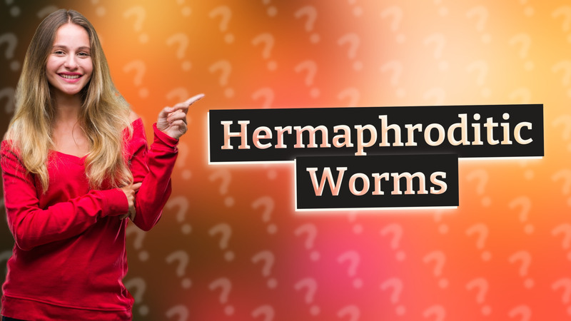 Hermaphroditic Worms