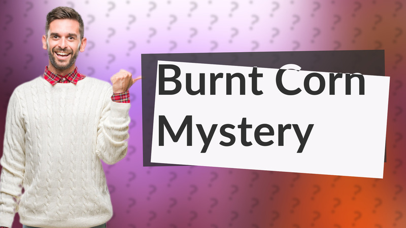 Burnt Corn Mystery