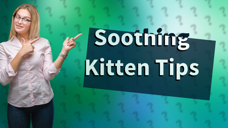 Soothing Kitten Tips