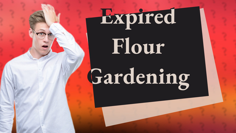 Expired Flour Gardening