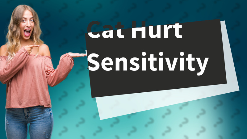 Cat Hurt Sensitivity