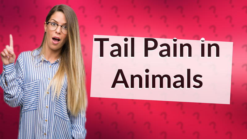 Tail Pain in Animals