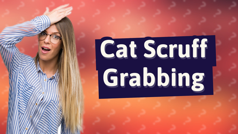 Cat Scruff Grabbing