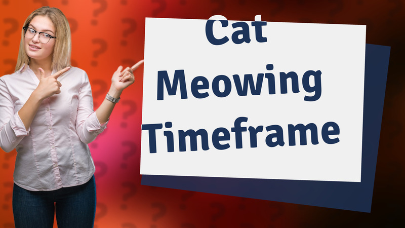 Cat Meowing Timeframe
