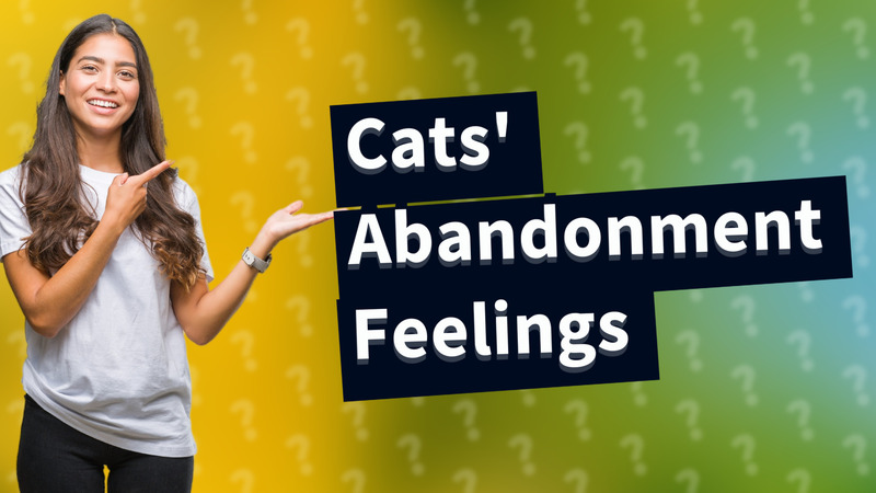 Cats' Abandonment Feelings