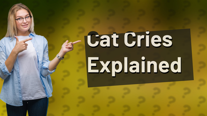 Cat Cries Explained
