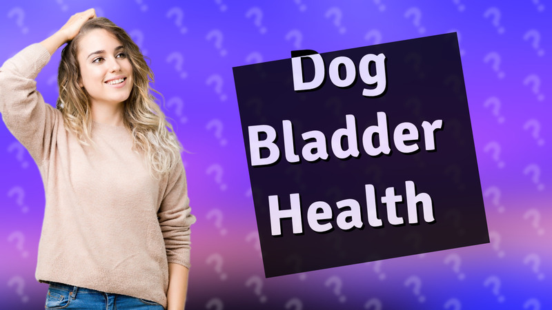 Dog Bladder Health