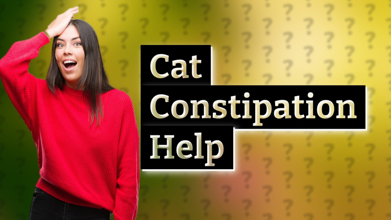 Cat Constipation Help