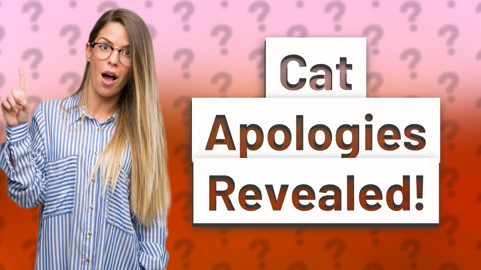 Cat Apologies Revealed!