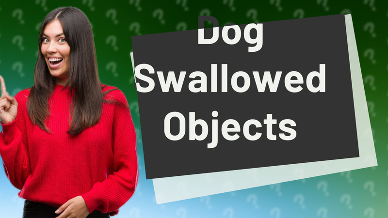 Dog Swallowed Objects