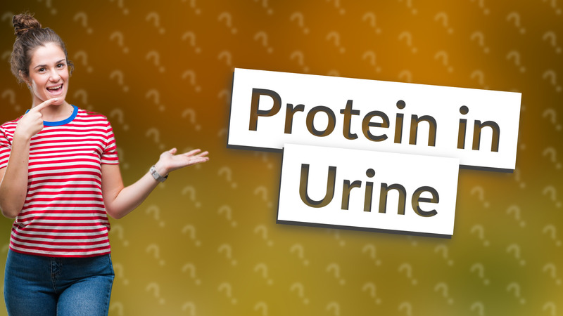 Protein in Urine