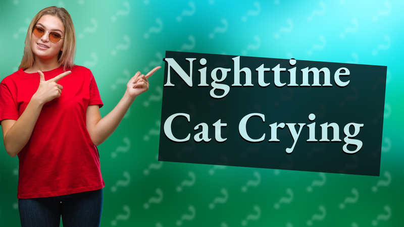 Nighttime Cat Crying
