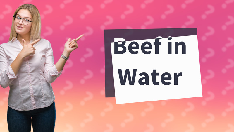 Beef in Water
