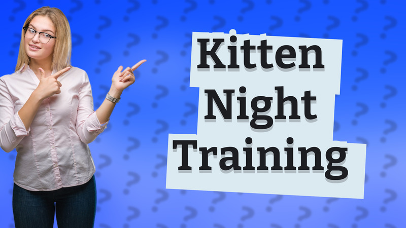 Kitten Night Training