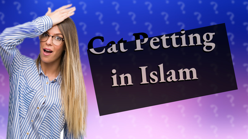 Cat Petting in Islam